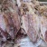 鱿鱼干等级货，颜色暗色一些，厚肉香味浓，规格齐全