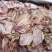 鱿鱼干等级货，颜色暗色一些，厚肉香味浓，规格齐全