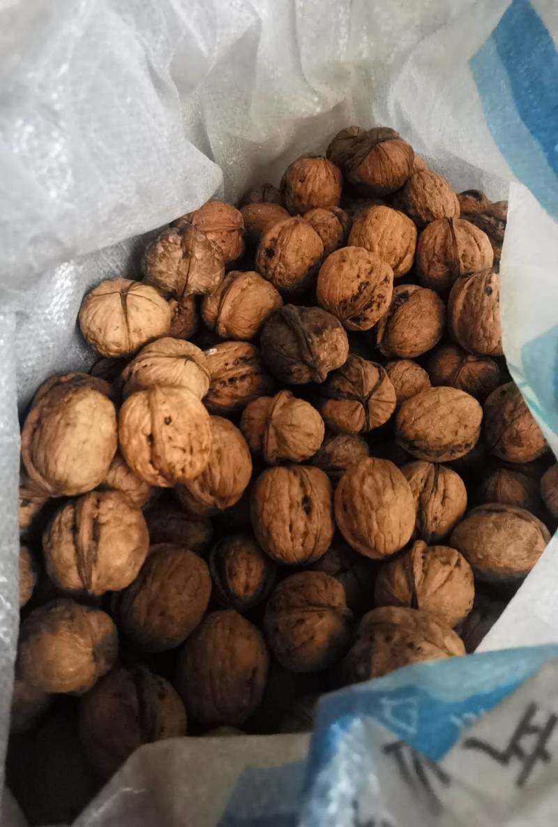 核桃油，纯核桃油，精品供应，支持视频看货