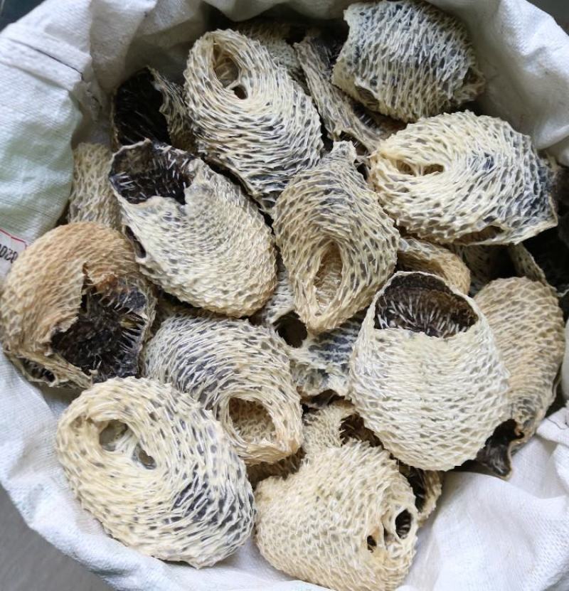 大中小号刺龟鱼皮足干，白净短刺，新鲜，口感很好