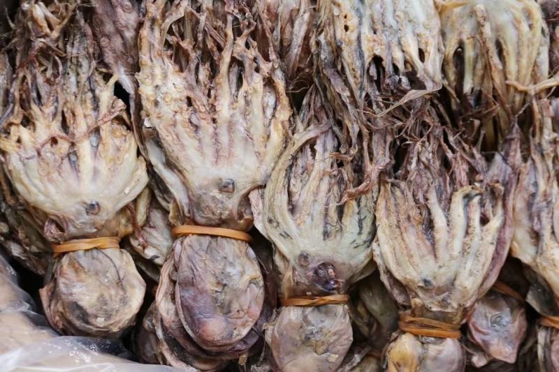 章鱼干，淡干清水，本身自带海水的鲜味，干度好颜色好