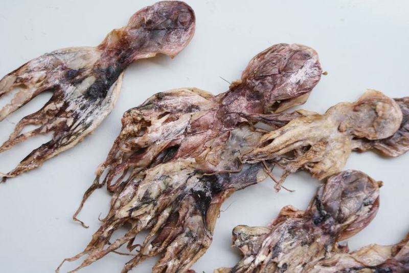 章鱼干，淡干清水，本身自带海水的鲜味，干度好颜色好