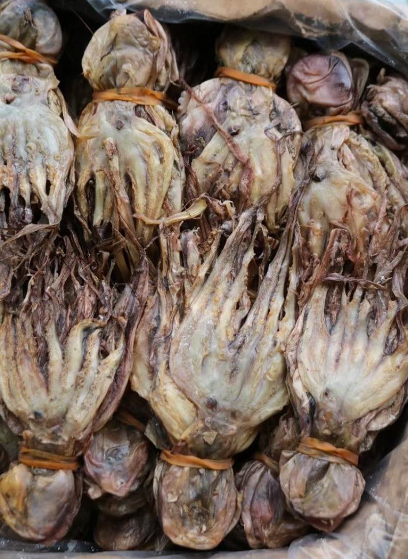 章鱼干，淡干清水，本身自带海水的鲜味，干度好颜色好