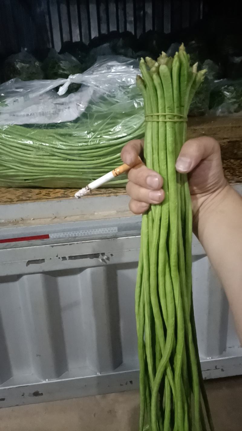 云南高山豇豆