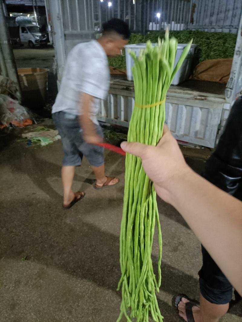 云南高山豇豆