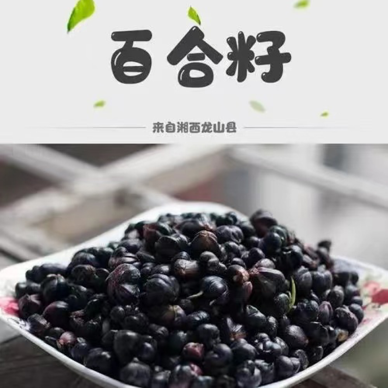 龙山百合籽药食两用