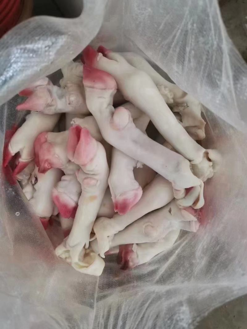 一斤三个个羊净蹄大中小规格箱装袋装均有货万邦现货