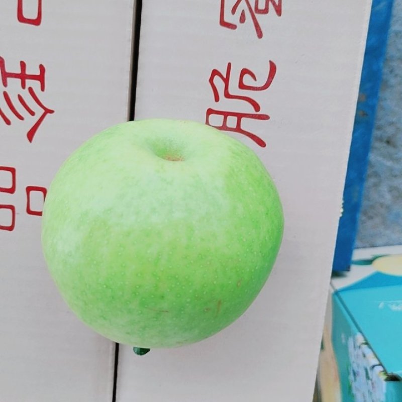 皇冠梨，翠冠梨，翠冠梨，果肉细腻，口感脆甜，保质保量