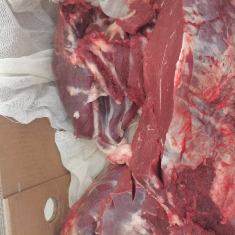 【推荐】连云港黄牛肉，肉质鲜美货量充足多年老店欢迎选购