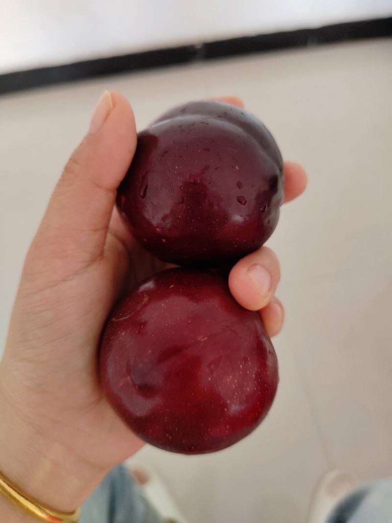精品小宝石李子澳洲红八宝丹口感脆甜产地直发