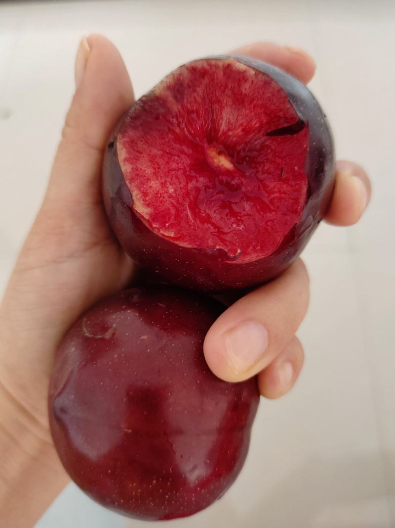 精品小宝石李子澳洲红八宝丹口感脆甜产地直发