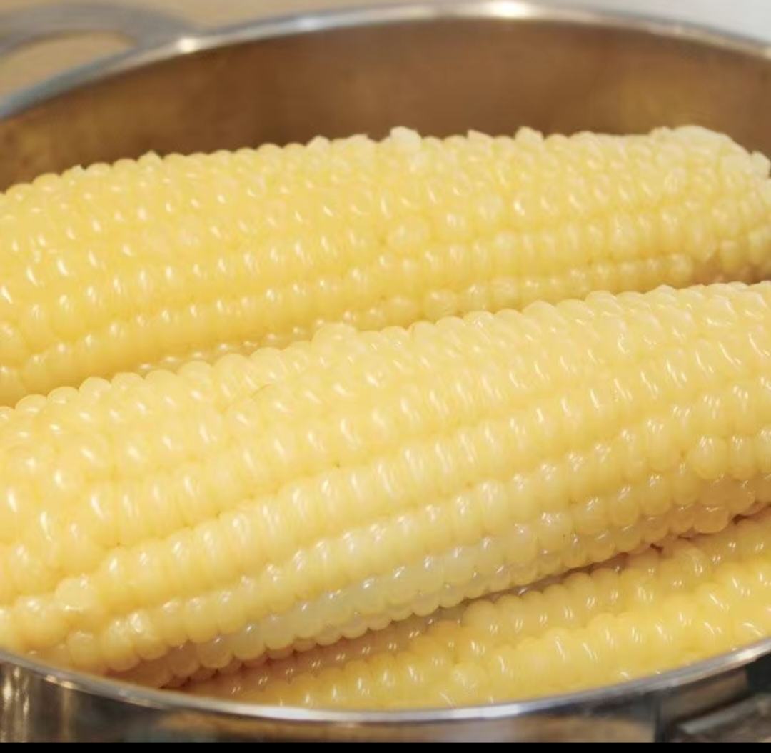 鲜糯玉米蒸煮成品图