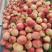 甘肃天水仓方早生桃子大量上市，可视频产地看货，欢迎致电