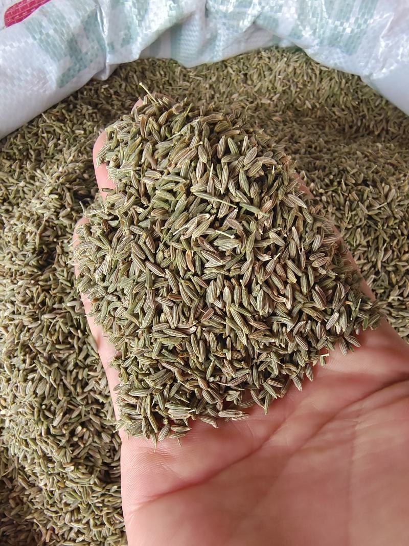 孜然孜然粒产地直销烧烤料批发各种调料