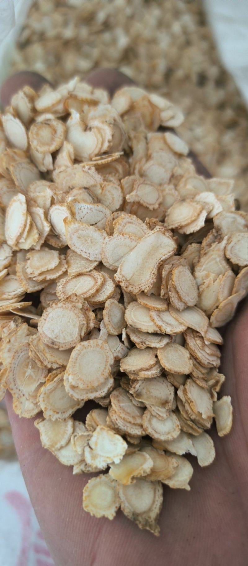 西洋参批发西洋参各种规格质量保证价格优惠