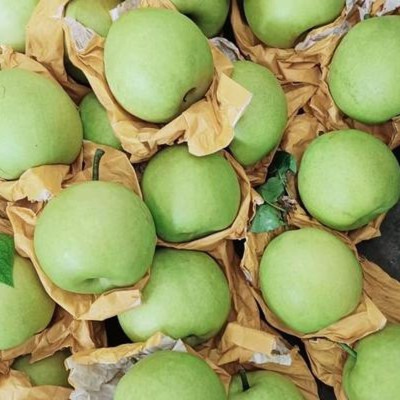河北精品绿宝石梨大量上市香甜可口量大从优产地直供