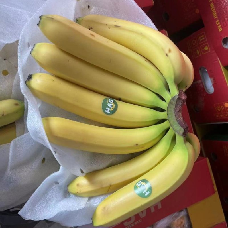 精品香蕉一手货源品质保证量大从优欢迎选购