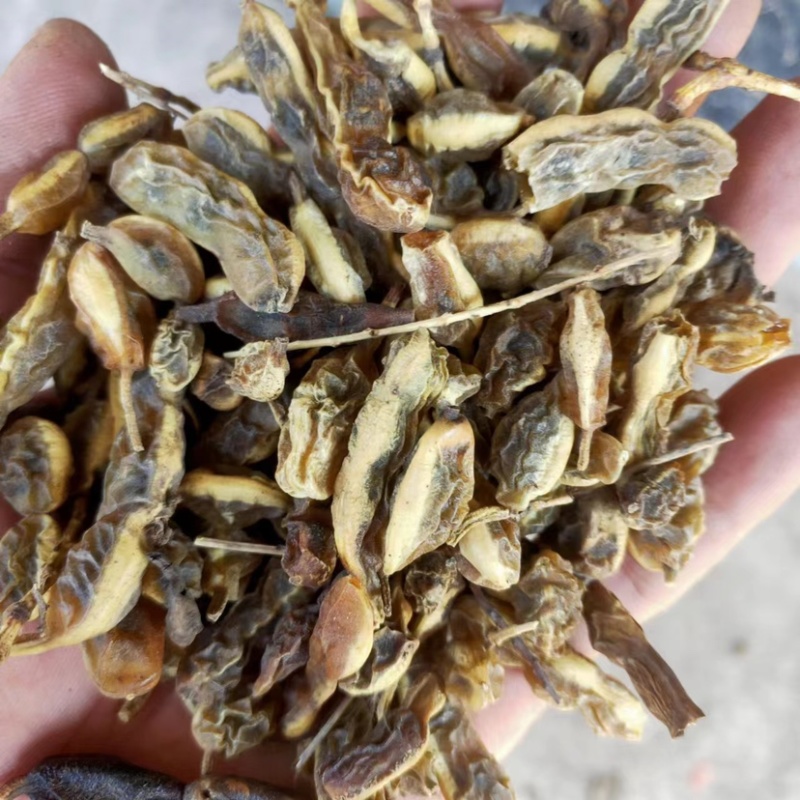 槐角大量供应，一手货源，产地直发，价格优惠