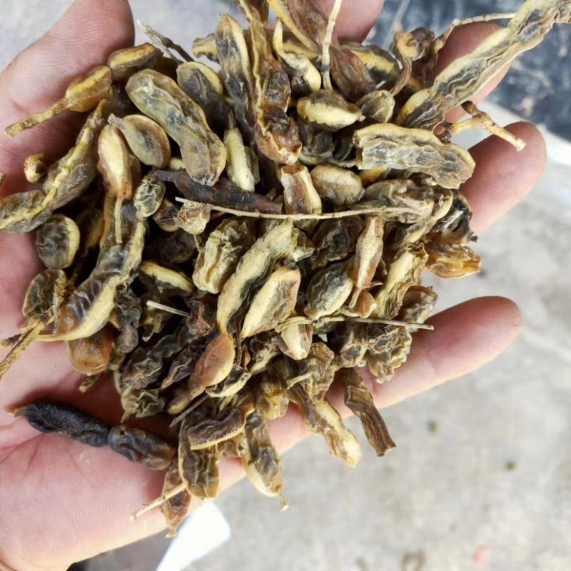 槐角大量供应，一手货源，产地直发，价格优惠