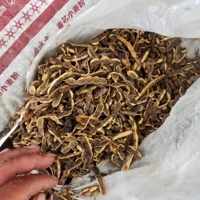 槐角大量供应，一手货源，产地直发，价格优惠