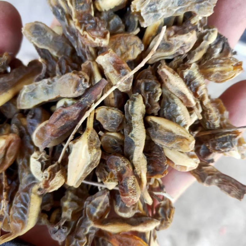 槐角大量供应，一手货源，产地直发，价格优惠
