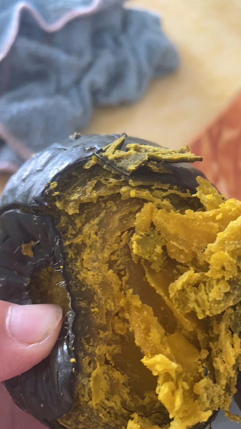 精品惠和1号贝贝南瓜大棚吊挂