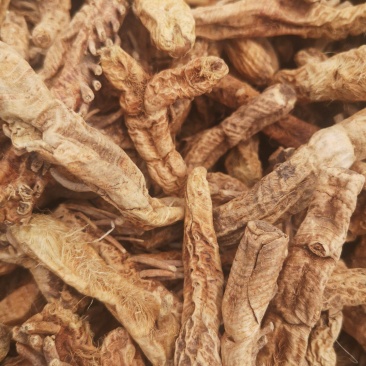 知母