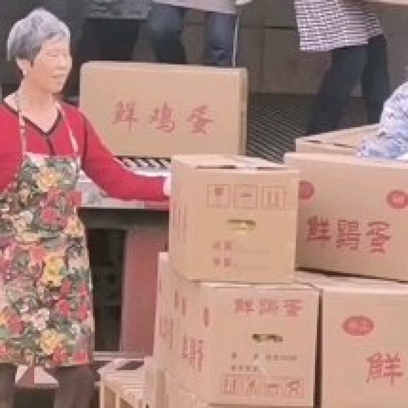 江西精品鲜鸡蛋