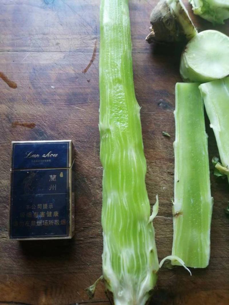 尖叶圆叶莴笋莴苣货源充足品质保证诚信经营欢迎咨询