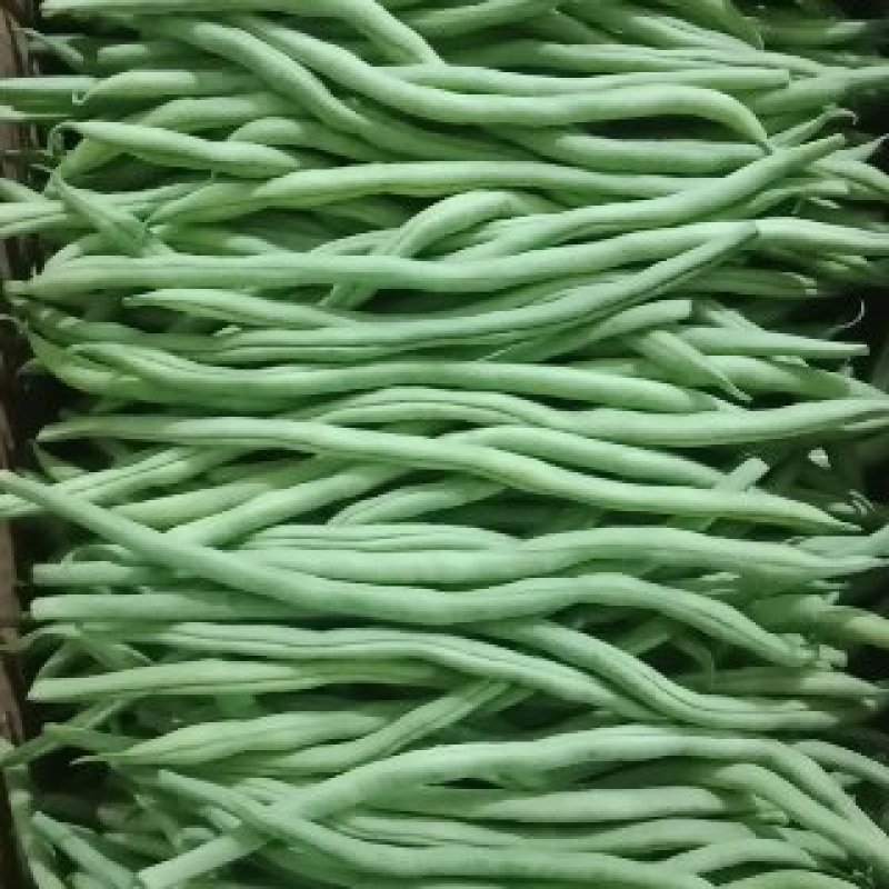 精品露天架豆王架豆王架豆王