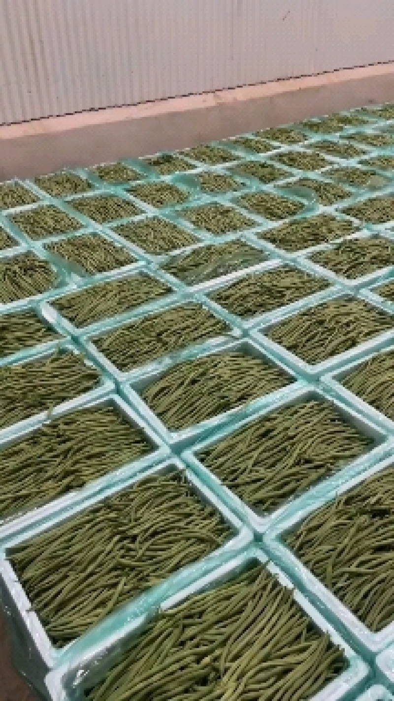 精品露天架豆王架豆王架豆王