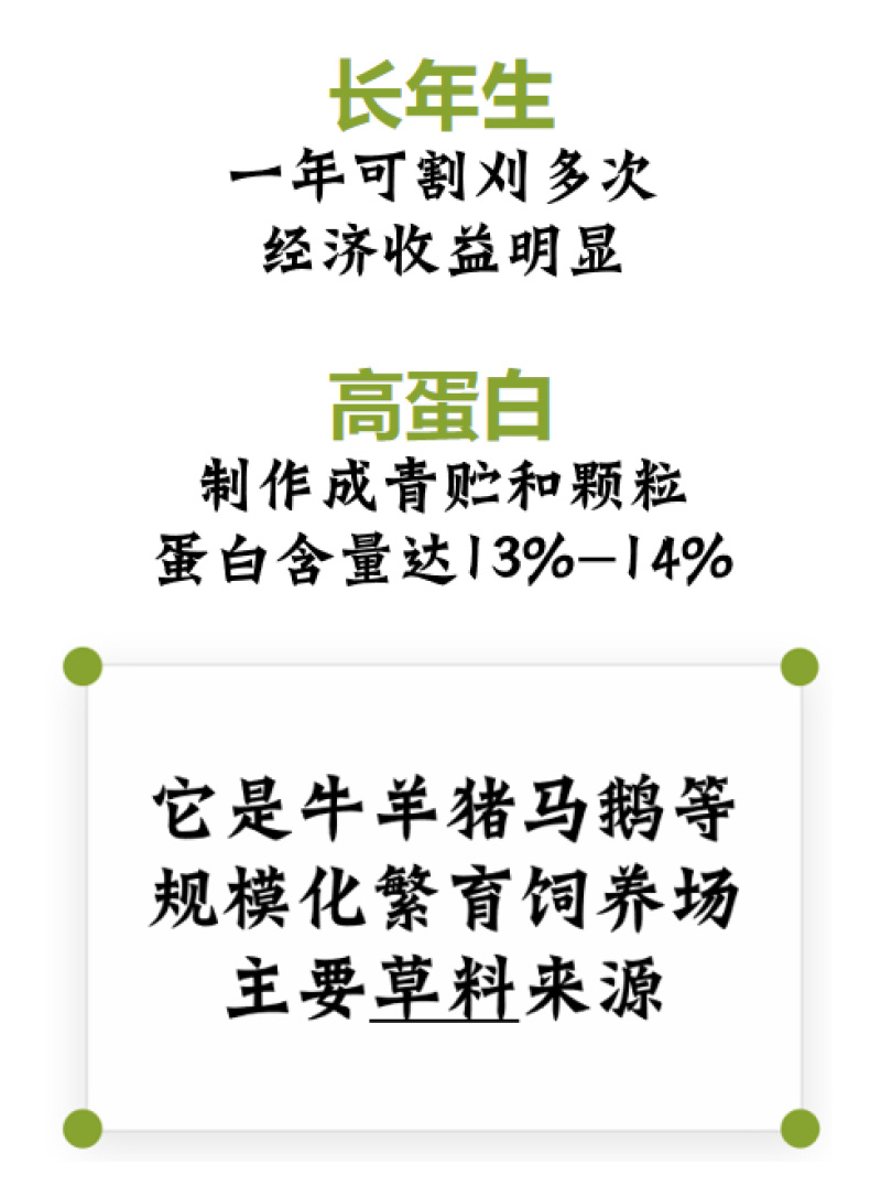 厂家直销猪颗粒料高蛋白用量少更省钱包邮