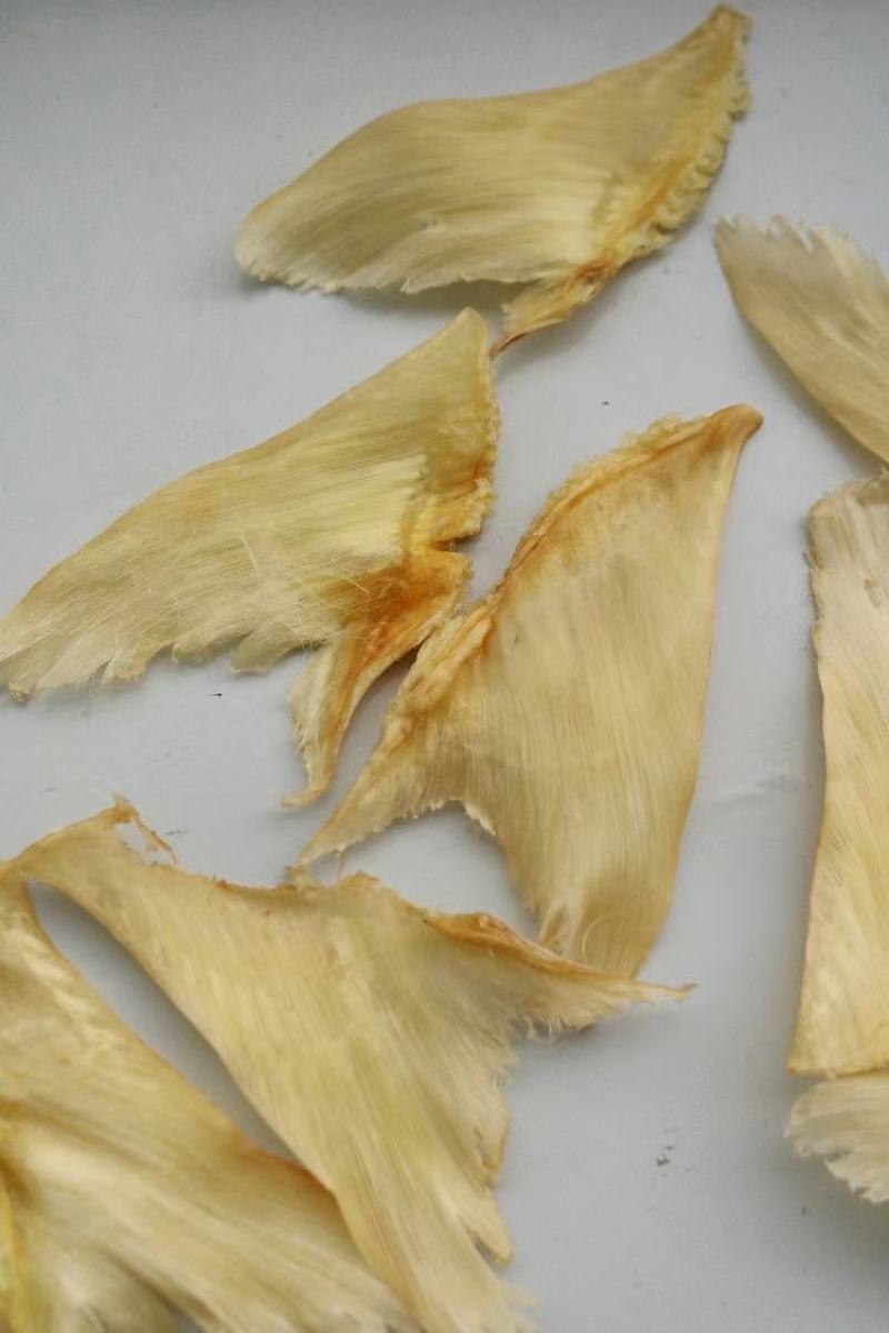 牙只是做鲍翅的原料，将牙只干蒸3分钟晾干后得到金钩鲍翅