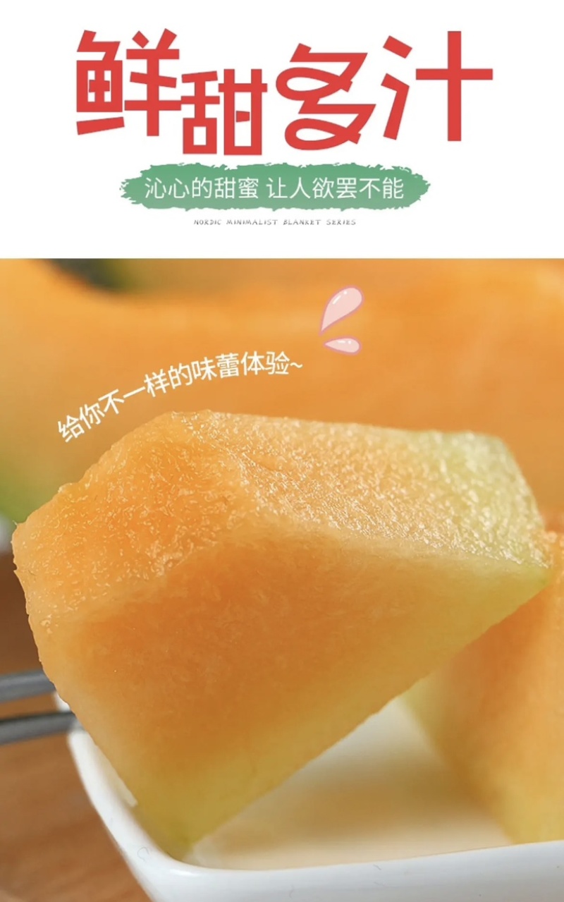 【推荐】金红宝甘肃甜瓜黄金蜜沙漠蜜瓜支持整车，电商供应