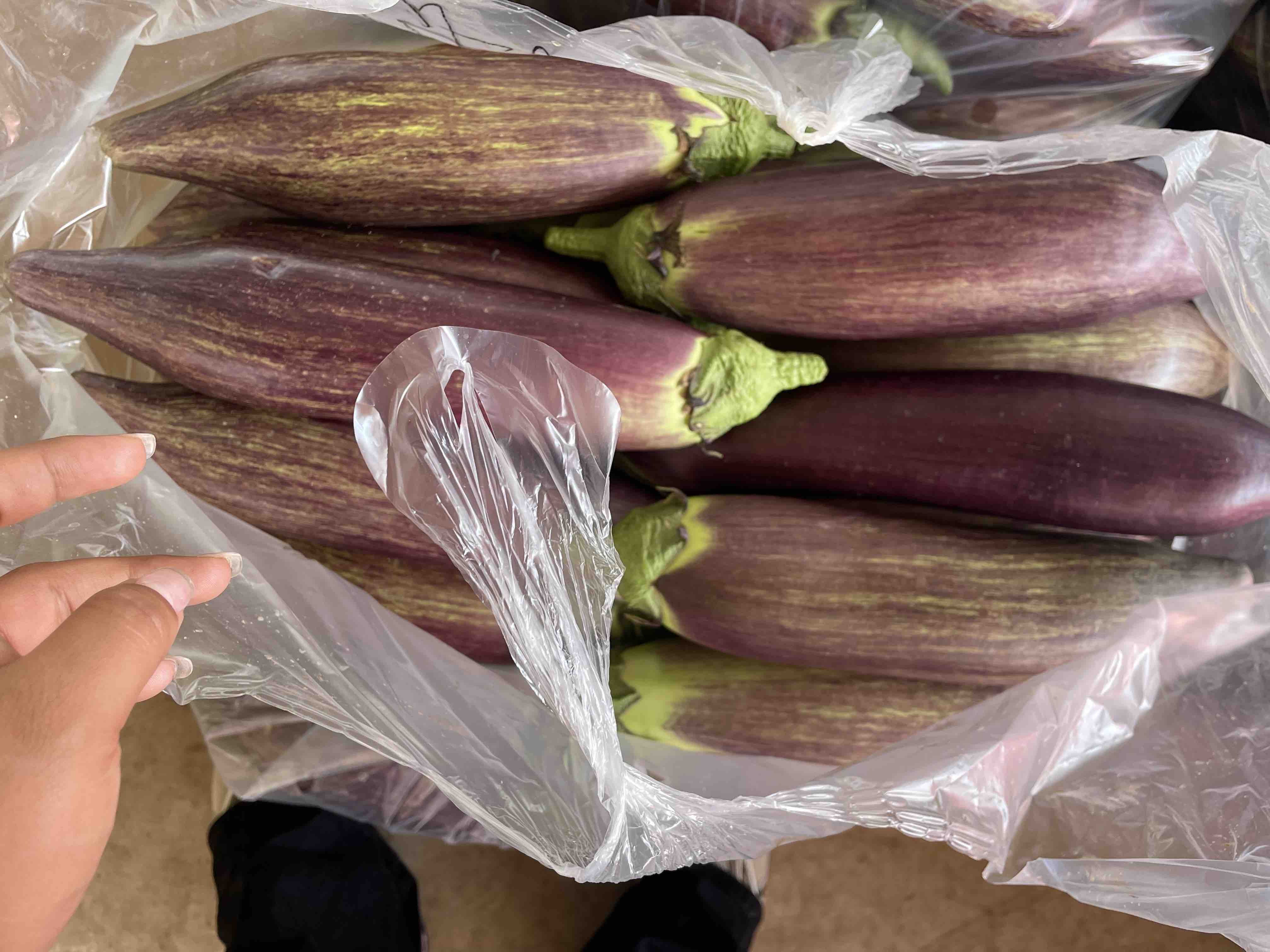 红烧茄子放在冰箱保鲜盒中