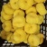六月蜜蟠