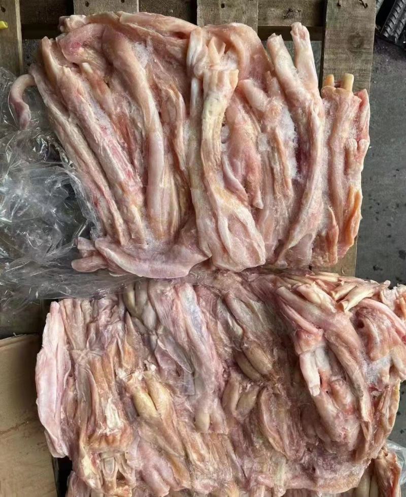 4蹄筋，现货