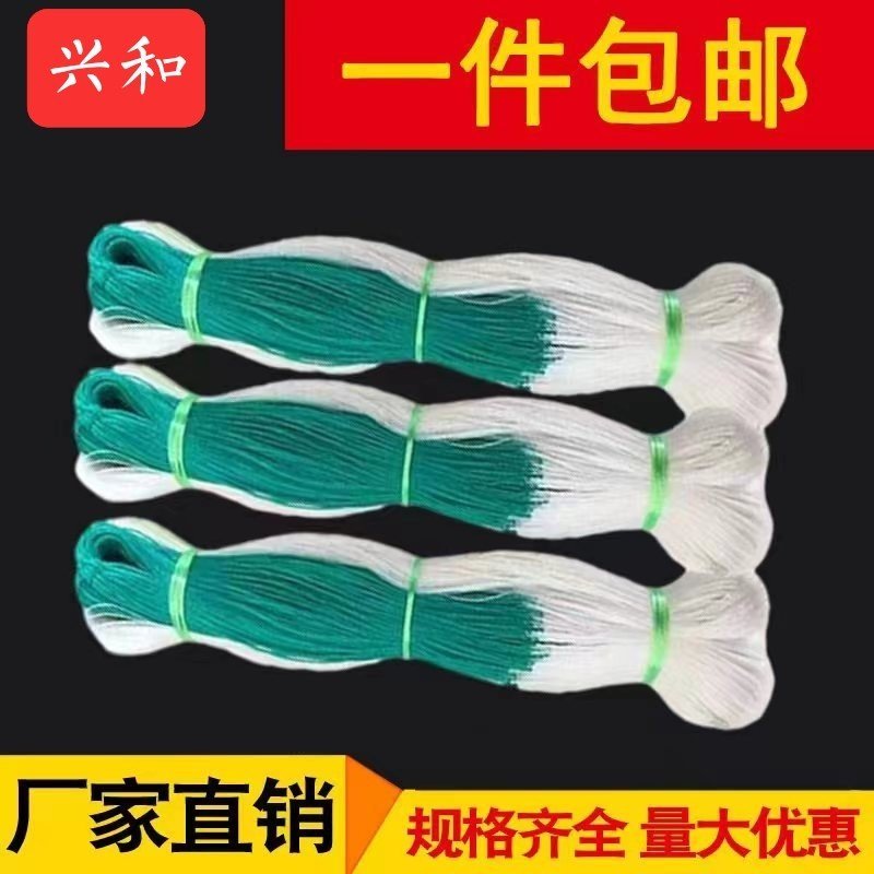【豆角类专用】豇豆荷兰豆豆角爬藤网种植藤蔓类蔬菜