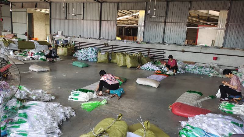 【豆角类专用】豇豆荷兰豆豆角爬藤网种植藤蔓类蔬菜