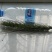 超大穂小麦，连续三年亩产2000多斤抗旱抗冻抗病能力超强