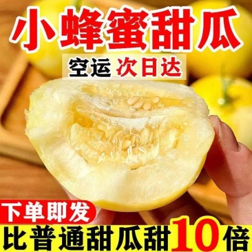 【超甜山东头茬现摘星甜20甜瓜小蜜蜂甜瓜新鲜水果香瓜5斤