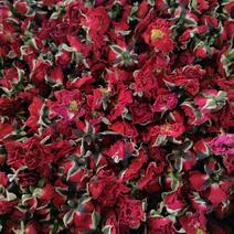 金边玫瑰，花冠、墨红玫瑰品质保证价格美丽供应全国各类市场