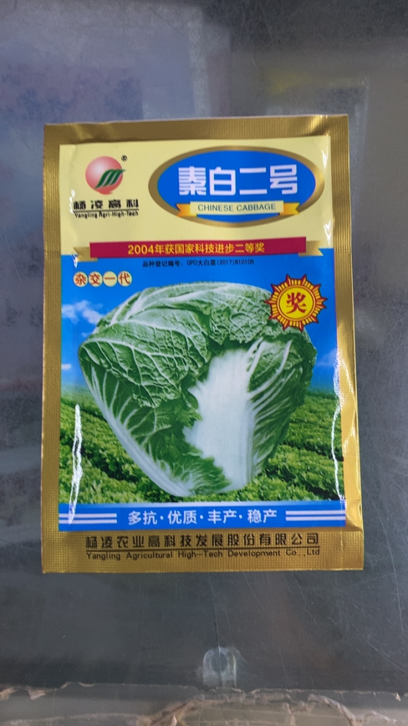 【正宗】秦白二号白菜种子杨凌高科出品矮桩叠抱65天