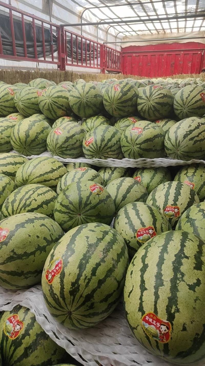 宁夏中卫精品【硒砂瓜】现摘现发皮薄多汁口感甘甜