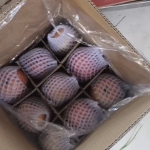 山东红富士苹果电商一件代发