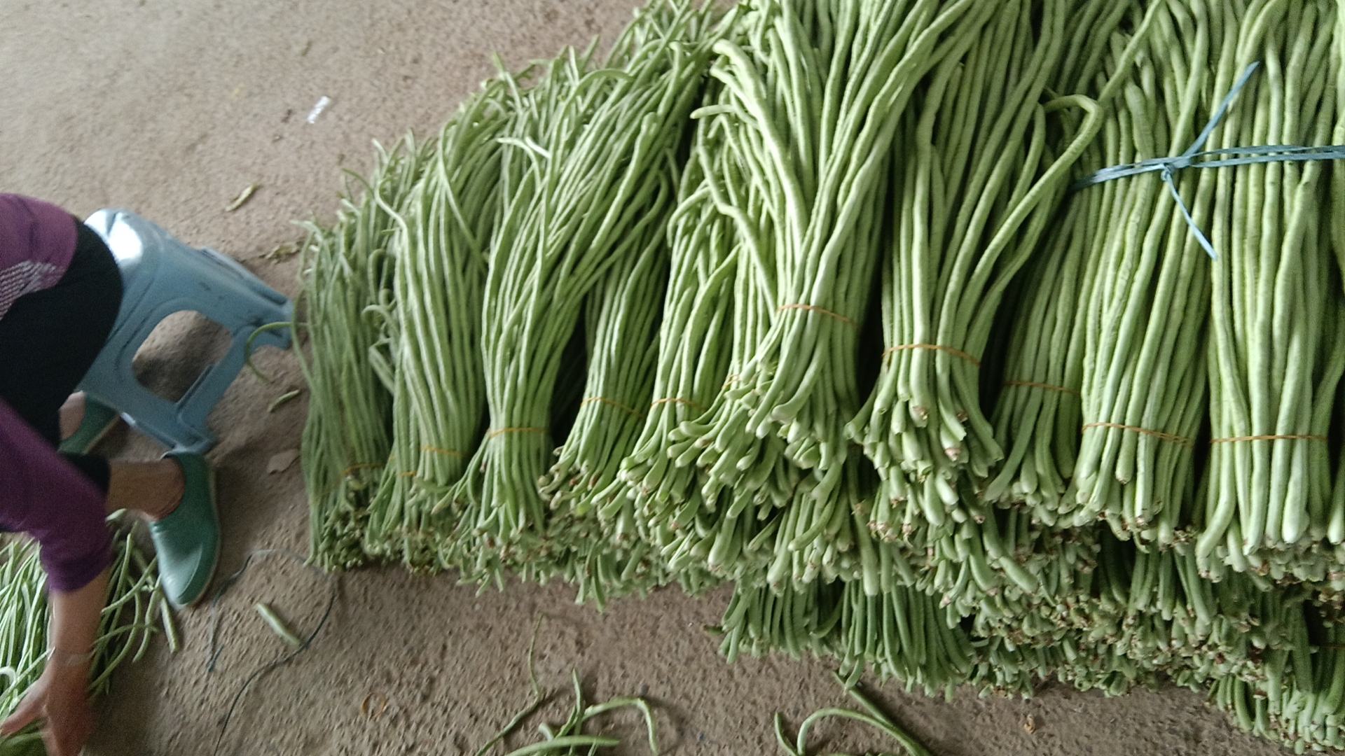 豆角与豆皮的食材组合图