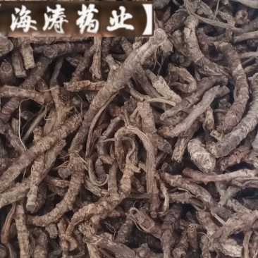 【胡黄连】产地一手货源大货供应规格齐全量大优惠。