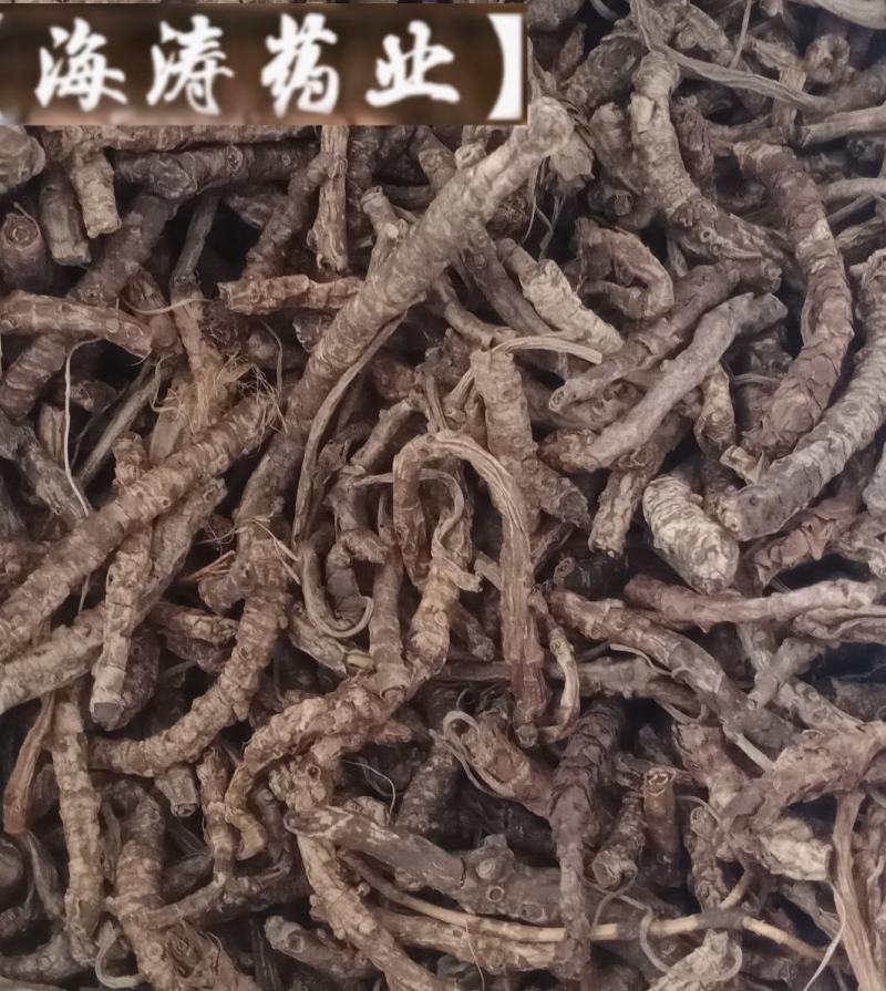 【胡黄连】产地一手货源大货供应规格齐全量大优惠。
