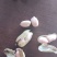 宜宾新鲜湿花生