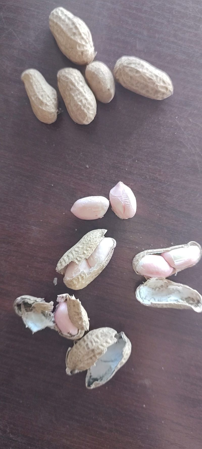 宜宾新鲜湿花生